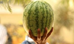 娱乐圈吃瓜2021,吃瓜群众的热议焦点回顾