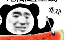 娱乐吃瓜酱哪里出了问题,探寻问题根源，还原事件真相