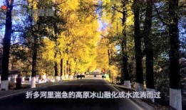 娱乐吃瓜君集美